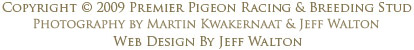 Copyright &copy; 2009 Premier Pigeon Racing & Breeding Stud. Photography by Martin Kwakernaat & Jeff Walton. Web Design By Jeff Walton